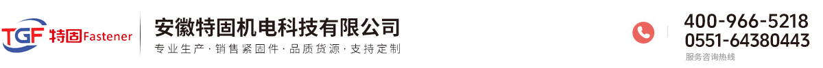 安徽特固機(jī)電科技有限公司